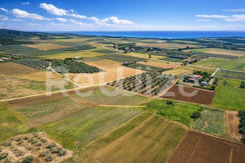Αγροτεμάχιο 7500 τ.μ. στη Νέα Προποντίδα, φωτογραφία 1