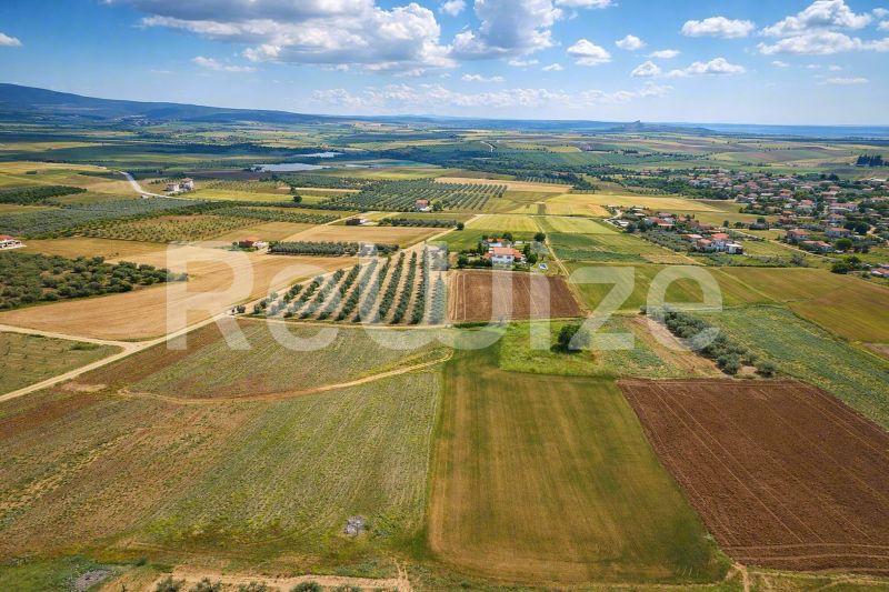 Αγροτεμάχιο 7500 τ.μ. στη Νέα Προποντίδα, φωτογραφία 14
