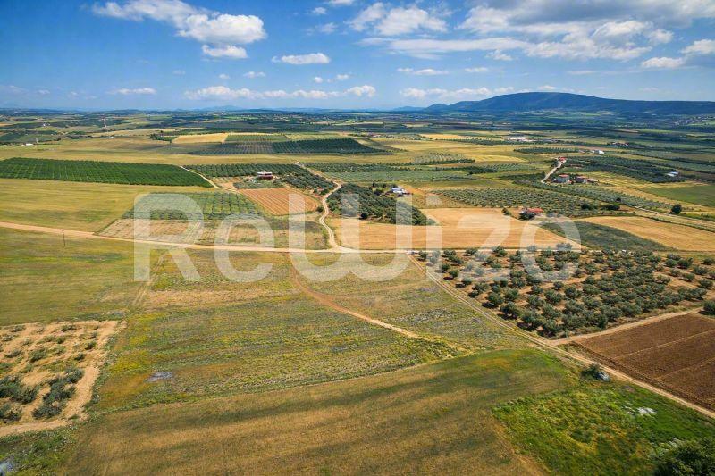 Αγροτεμάχιο 7500 τ.μ. στη Νέα Προποντίδα, φωτογραφία 15