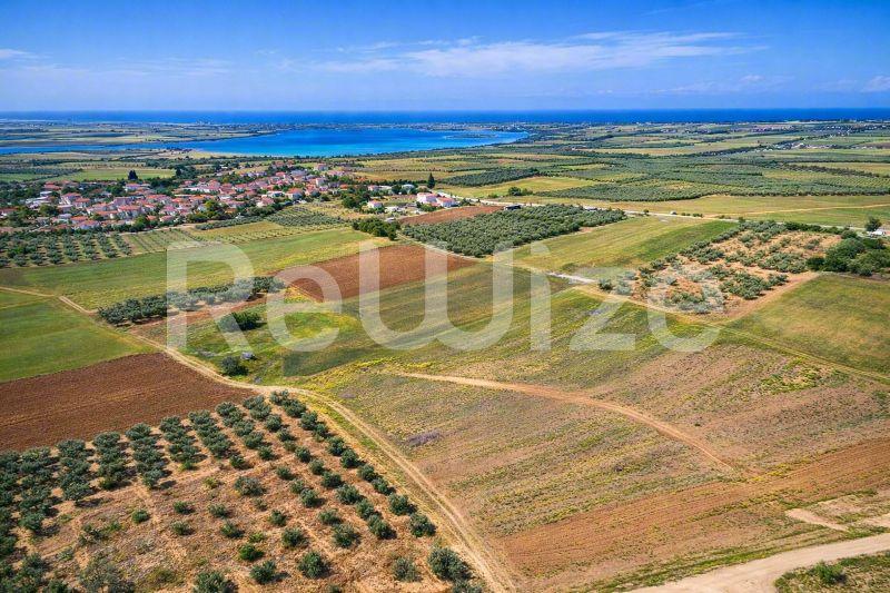 Αγροτεμάχιο 7500 τ.μ. στη Νέα Προποντίδα, φωτογραφία 18