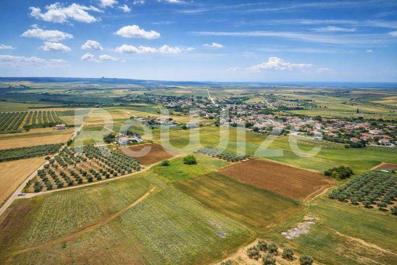 Αγροτεμάχιο 7500 τ.μ. στη Νέα Προποντίδα, φωτογραφία 20