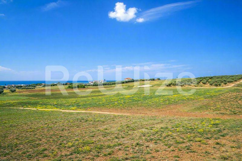 Αγροτεμάχιο 7500 τ.μ. στη Νέα Προποντίδα, φωτογραφία 22