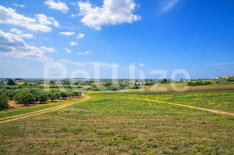 Αγροτεμάχιο 7500 τ.μ. στη Νέα Προποντίδα, φωτογραφία 24