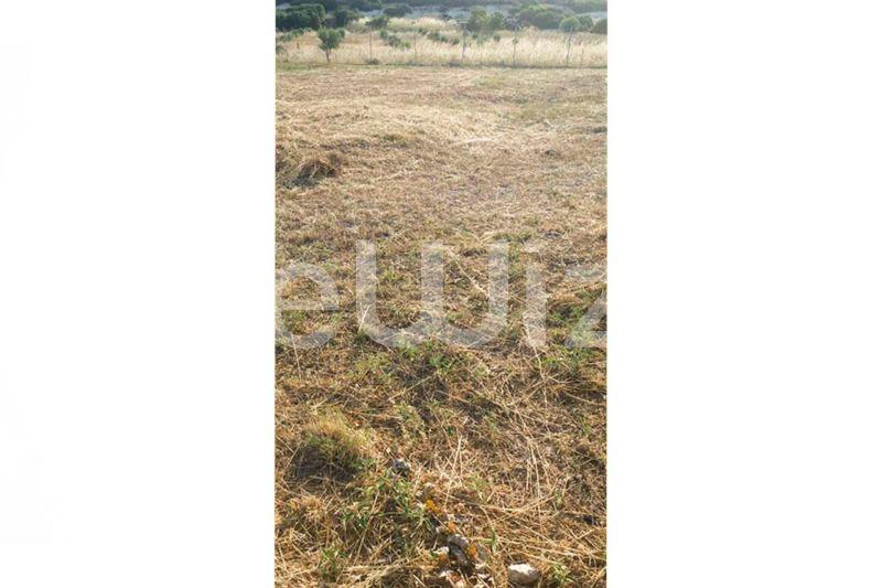 Photo 9,Outside,SALE,Land,Plot,603sqm,€35,000,Nea Gonia