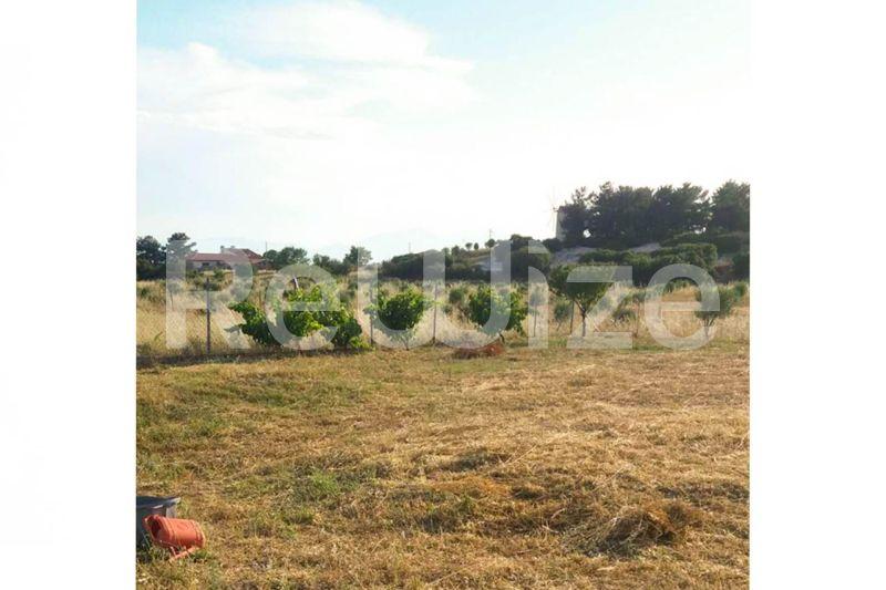Photo 6,Outside,SALE,Land,Plot,603sqm,€35,000,Nea Gonia