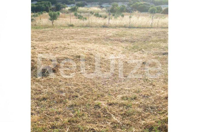 Photo 10,Outside,SALE,Land,Plot,603sqm,€35,000,Nea Gonia