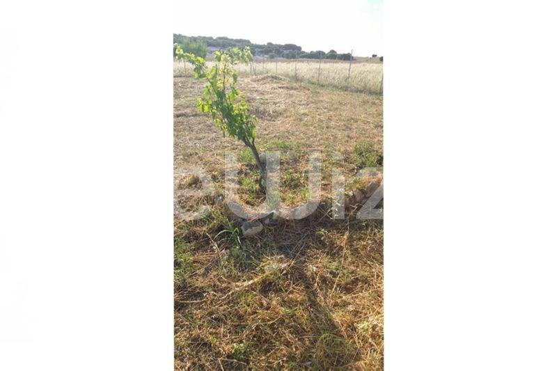 Photo 7,Outside,SALE,Land,Plot,603sqm,€35,000,Nea Gonia