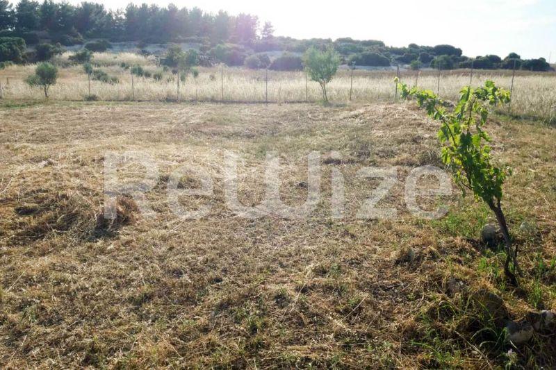 Photo 4,Outside,SALE,Land,Plot,603sqm,€35,000,Nea Gonia