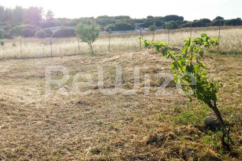 Photo 1,Outside,SALE,Land,Plot,603sqm,€35,000,Nea Gonia
