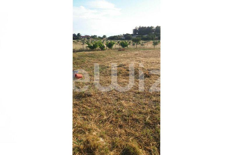 Photo 8,Outside,SALE,Land,Plot,603sqm,€35,000,Nea Gonia