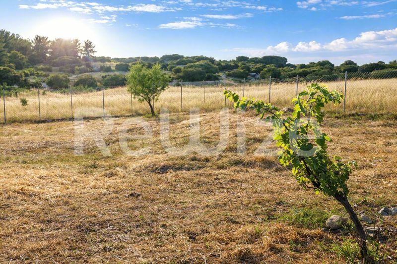 Οικόπεδο 1811 τ.μ. στη Νέα Προποντίδα, φωτογραφία 2
