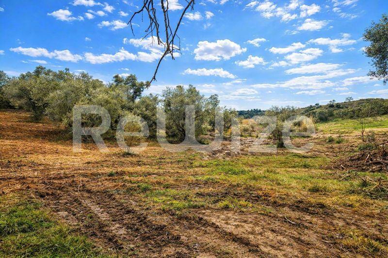 Field 2108 m² in Kassandra, photo 2
