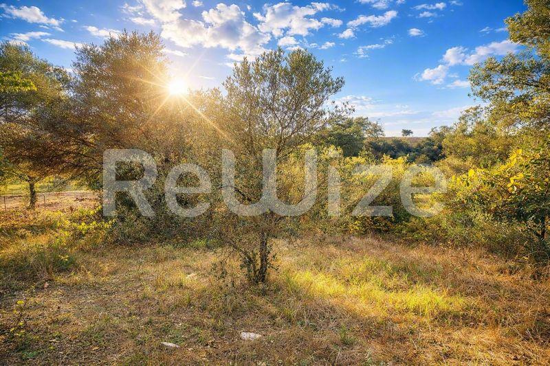 Field 2108 m² in Kassandra, photo 4