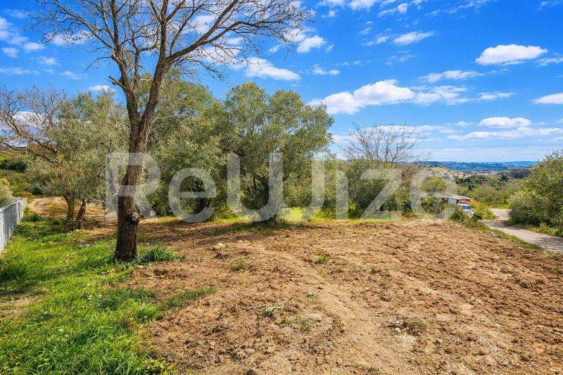 Field 2108 m² in Kassandra, photo 5