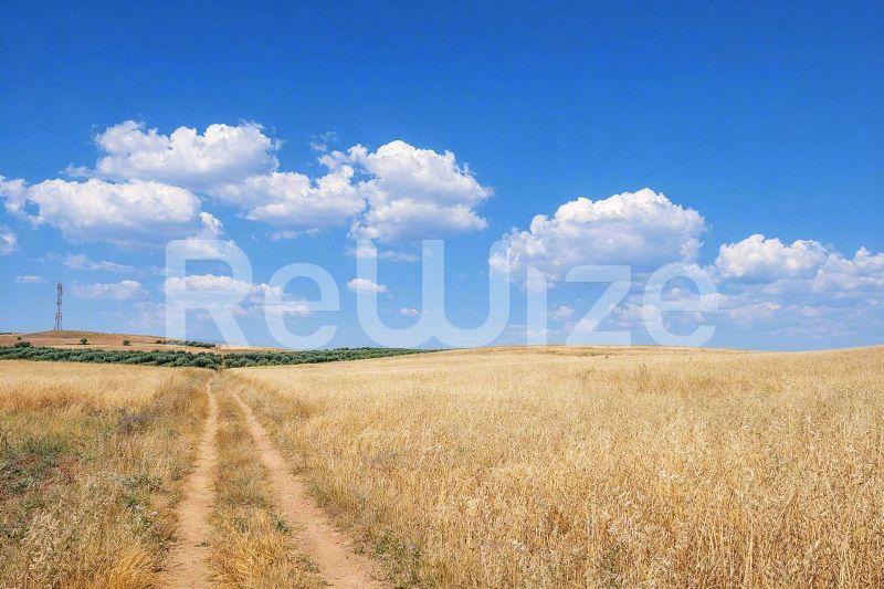 Αγροτεμάχιο 24000 τ.μ. στη Νέα Προποντίδα, φωτογραφία 3