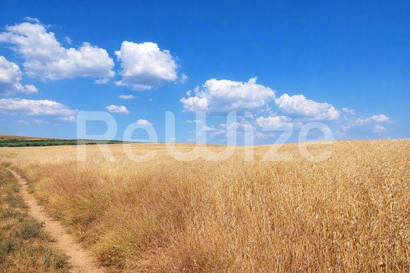 Αγροτεμάχιο 24000 τ.μ. στη Νέα Προποντίδα, φωτογραφία 4