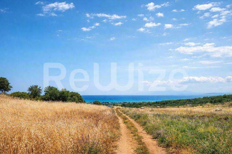 Αγροτεμάχιο 24000 τ.μ. στη Νέα Προποντίδα, φωτογραφία 1
