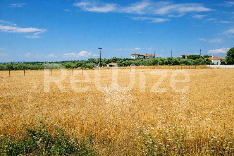 Αγροτεμάχιο 3221 τ.μ. στην Κασσάνδρα, φωτογραφία 1