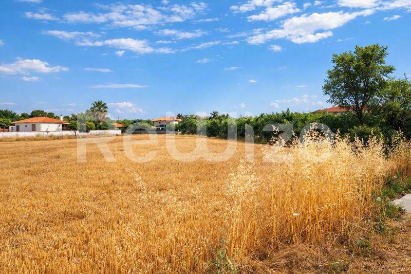 Αγροτεμάχιο 3221 τ.μ. στην Κασσάνδρα, φωτογραφία 2