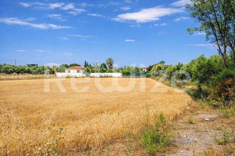 Αγροτεμάχιο 3221 τ.μ. στην Κασσάνδρα, φωτογραφία 3