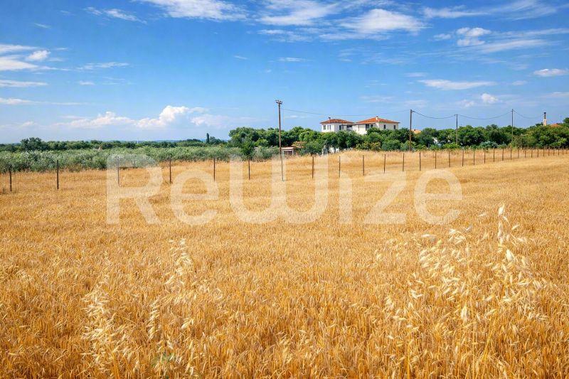 Αγροτεμάχιο 3221 τ.μ. στην Κασσάνδρα, φωτογραφία 4