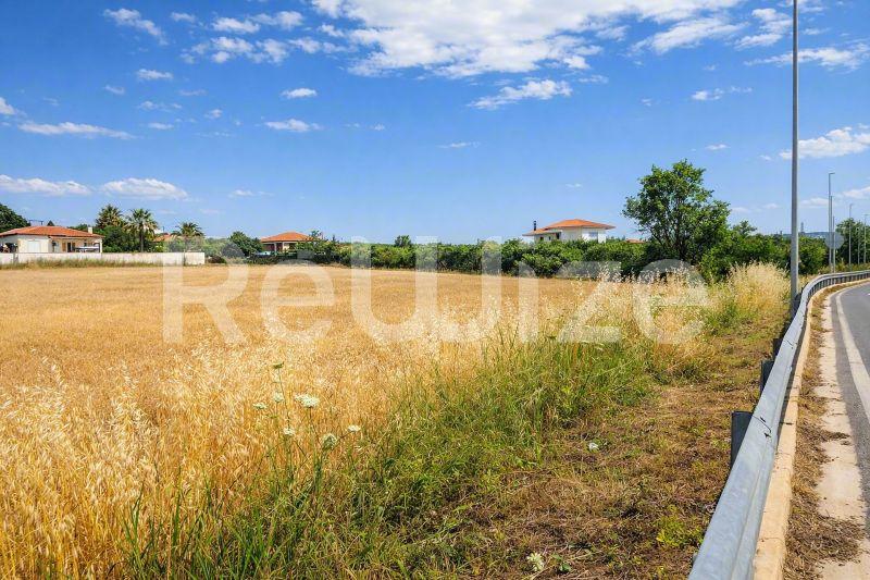 Αγροτεμάχιο 3221 τ.μ. στην Κασσάνδρα, φωτογραφία 5
