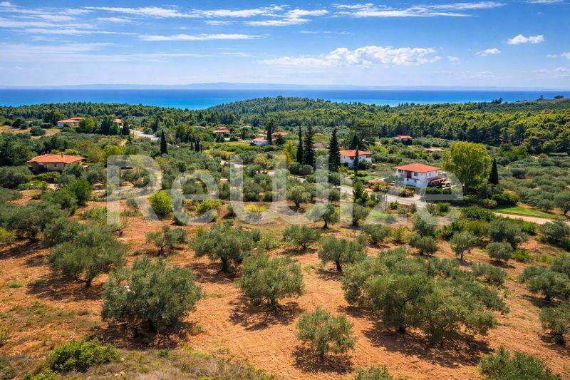 Field 3675 m² in Sithonia, aerial view
