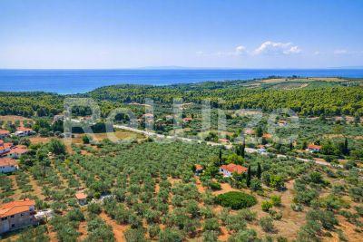 Αγροτεμάχιο Σιθωνίας