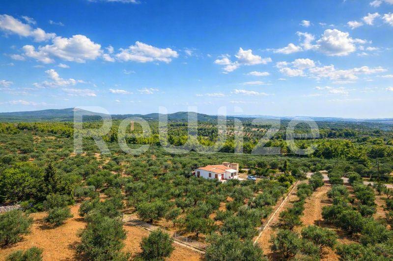 Field 3675 m² in Sithonia, aerial view
