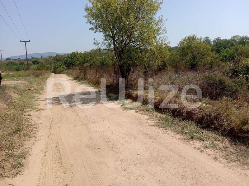 Photo 4,Landscape,SALE,Land,Field,1262sqm,€50,000,Tripiti