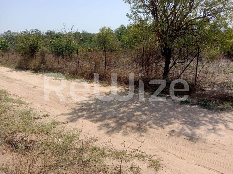 Photo 2,Landscape,SALE,Land,Field,1262sqm,€50,000,Tripiti