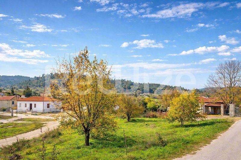Οικόπεδο 1150 τ.μ. στην Κασσάνδρα, φωτογραφία 2