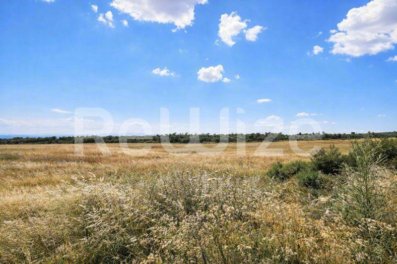 Field 8750 m² in Nea Propontida, photo 2