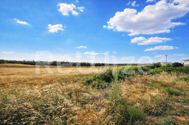 Field 8750 m² in Nea Propontida, photo 3