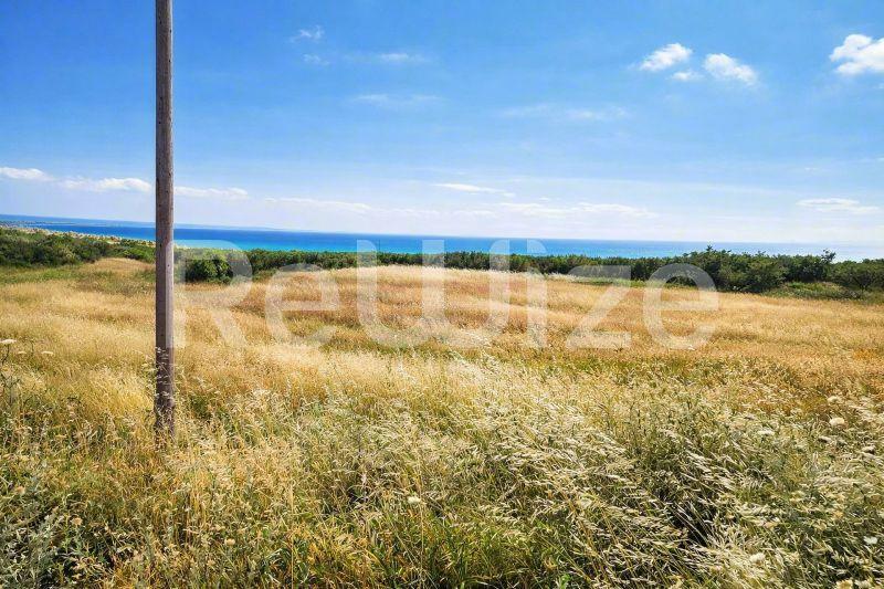 Field 8750 m² in Nea Propontida, photo 5