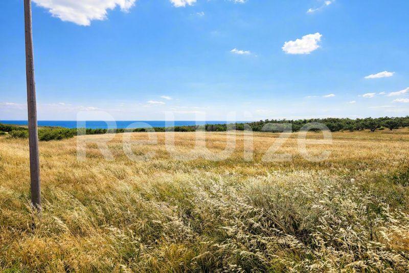 Field 8750 m² in Nea Propontida, photo 7