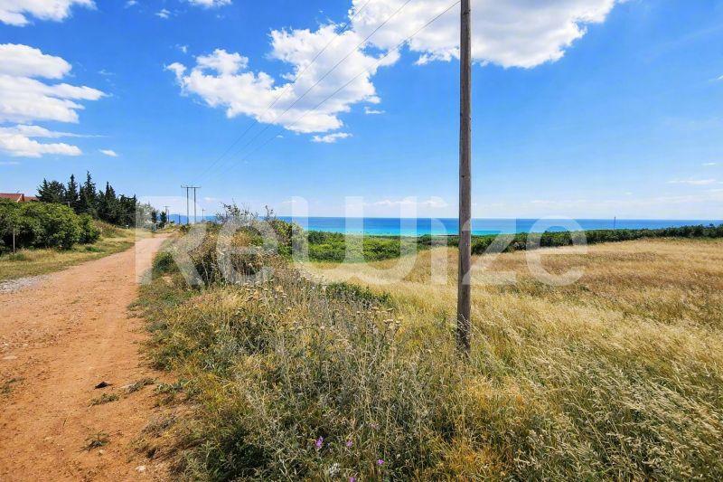 Field 8750 m² in Nea Propontida, photo 1