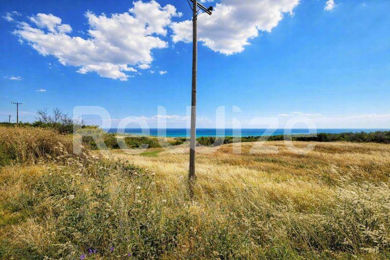 Field 8750 m² in Nea Propontida, photo 6