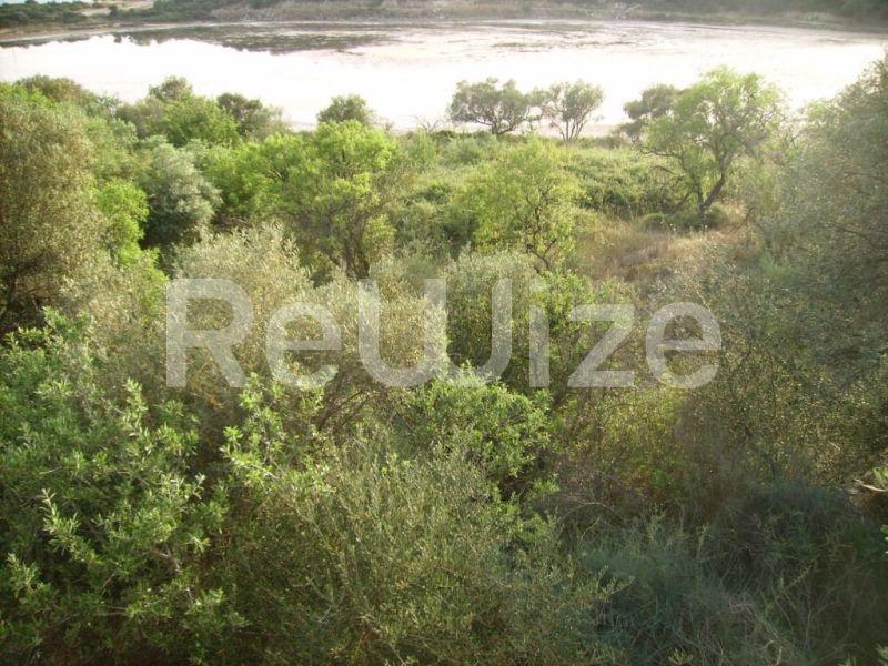 Photo 2,Landscape,SALE,Land,Field,5480sqm,€90,000,Ammouliani