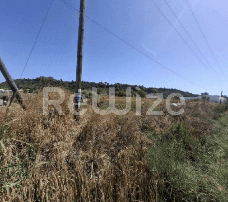 Photo 1,Outside,RENT,Land,Field,1800sqm,€15,000,Zakynthos