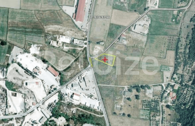 Photo 4,Outside,RENT,Land,Field,1800sqm,€15,000,Zakynthos