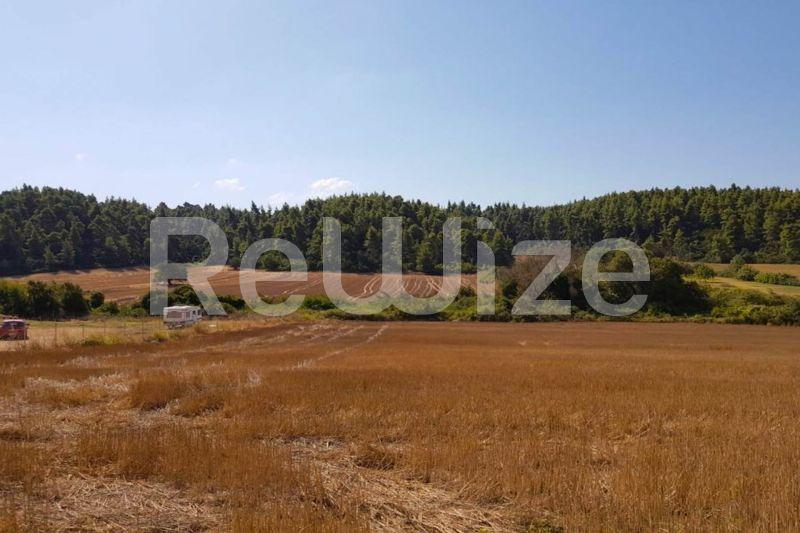 Photo 5,Εξωτερική,ΠΏΛΗΣΗ,Γη,Αγροτεμάχιο,4200τ.μ,€65,000,Ελάνη