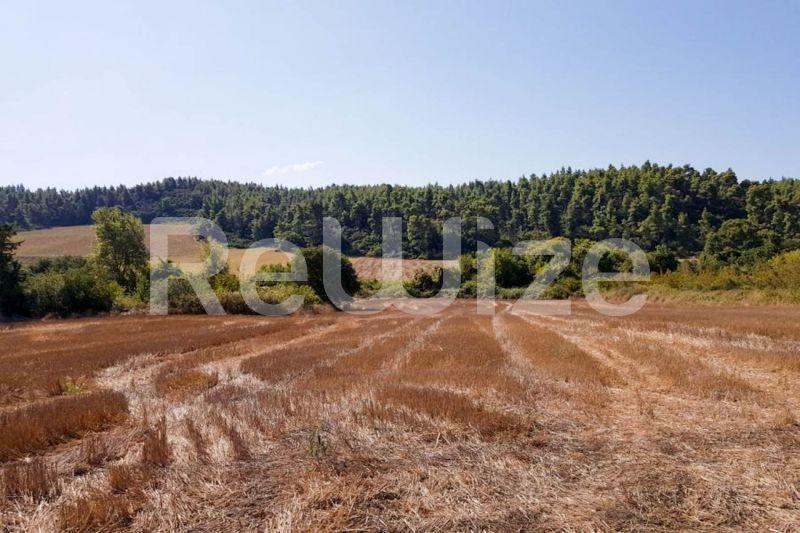 Photo 2,Εξωτερική,ΠΏΛΗΣΗ,Γη,Αγροτεμάχιο,4200τ.μ,€65,000,Ελάνη