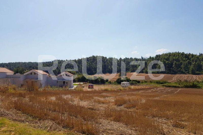 Photo 4,Εξωτερική,ΠΏΛΗΣΗ,Γη,Αγροτεμάχιο,4200τ.μ,€65,000,Ελάνη