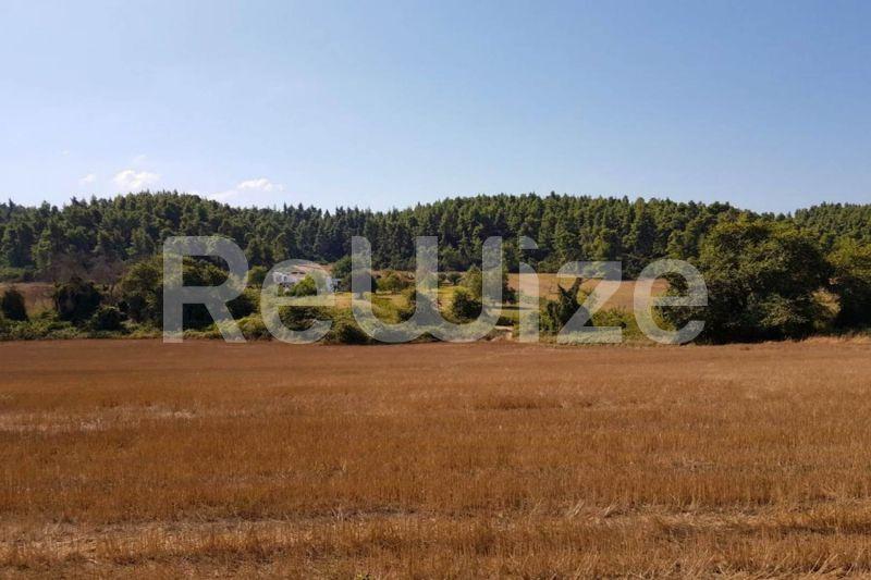 Photo 1,Εξωτερική,ΠΏΛΗΣΗ,Γη,Αγροτεμάχιο,4200τ.μ,€65,000,Ελάνη