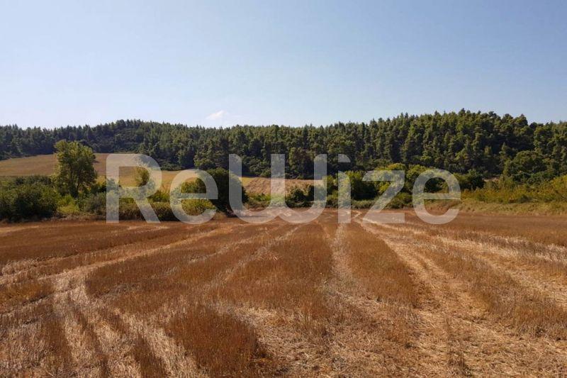 Photo 3,Εξωτερική,ΠΏΛΗΣΗ,Γη,Αγροτεμάχιο,4200τ.μ,€65,000,Ελάνη