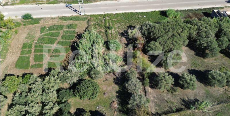 Photo 4,Πισίνα,ΠΏΛΗΣΗ,Γη,Οικόπεδο,2562τ.μ,€330,100,Πύργος