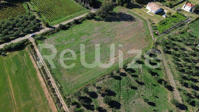 Photo 7,Πισίνα,ΠΏΛΗΣΗ,Γη,Οικόπεδο,10τ.μ,€150,100,Πύργος