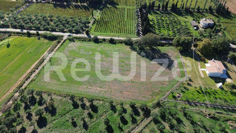 Photo 5,Πισίνα,ΠΏΛΗΣΗ,Γη,Οικόπεδο,10τ.μ,€150,100,Πύργος