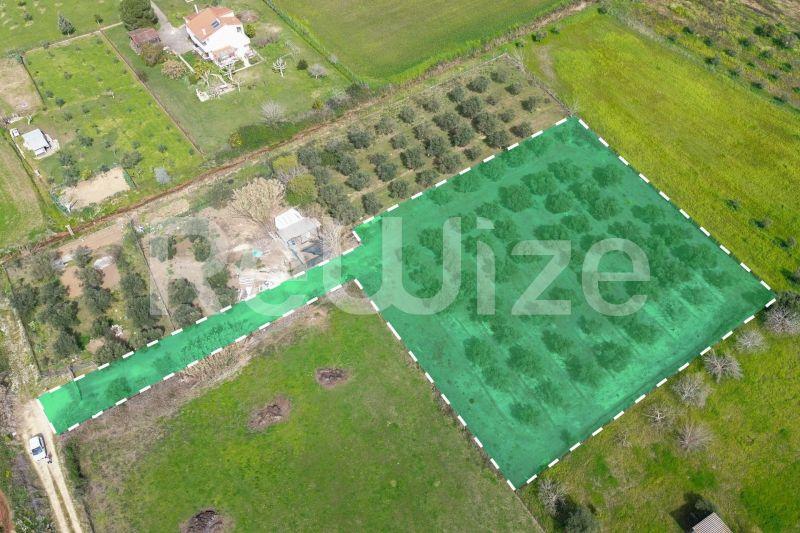 Photo 1,Πισίνα,ΠΏΛΗΣΗ,Γη,Οικόπεδο,4050τ.μ,€15,600,Πύργος